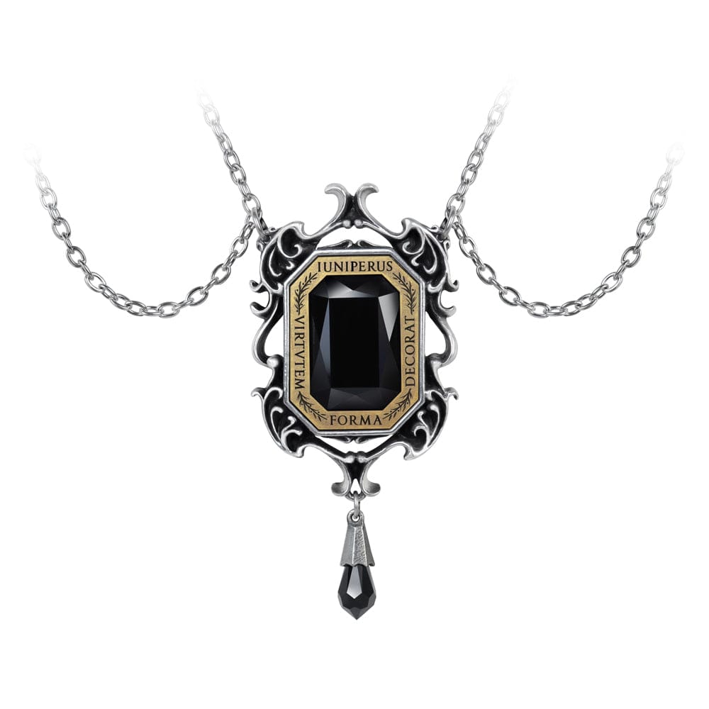 Baroque Beauty Necklace - Goth Unite 