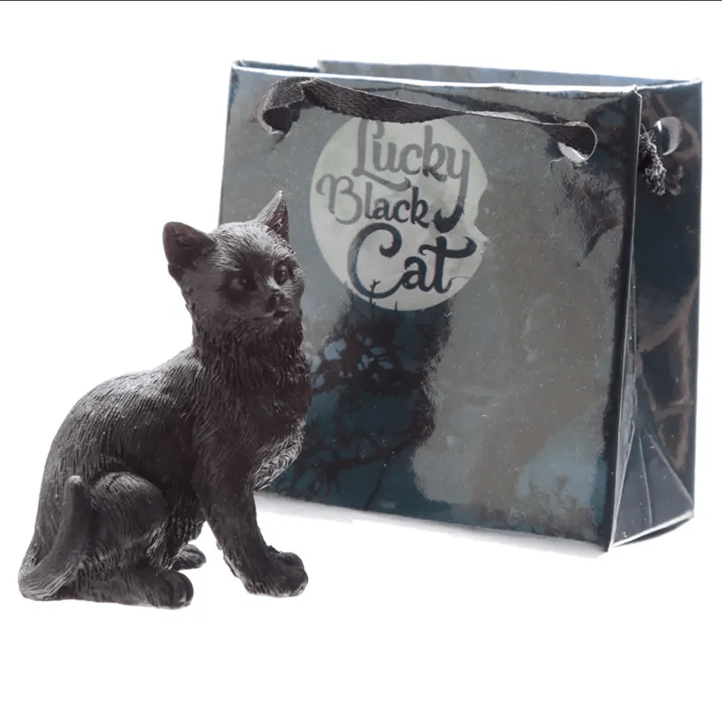 Lucky Black Cat in a Mini Gift Bag