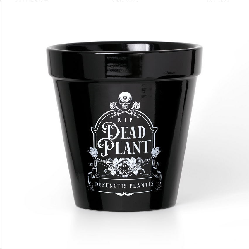 Dead Plant Plant Pot